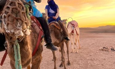Camel ride in agafay