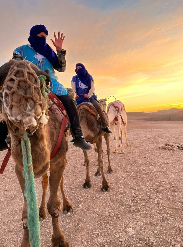 Camel ride in agafay