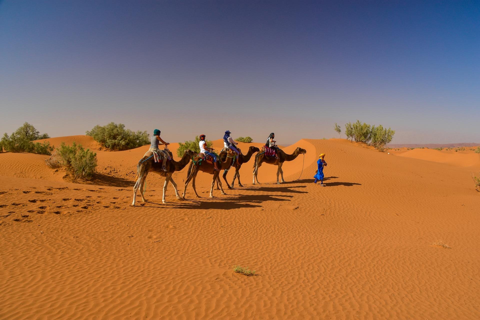 camel ride