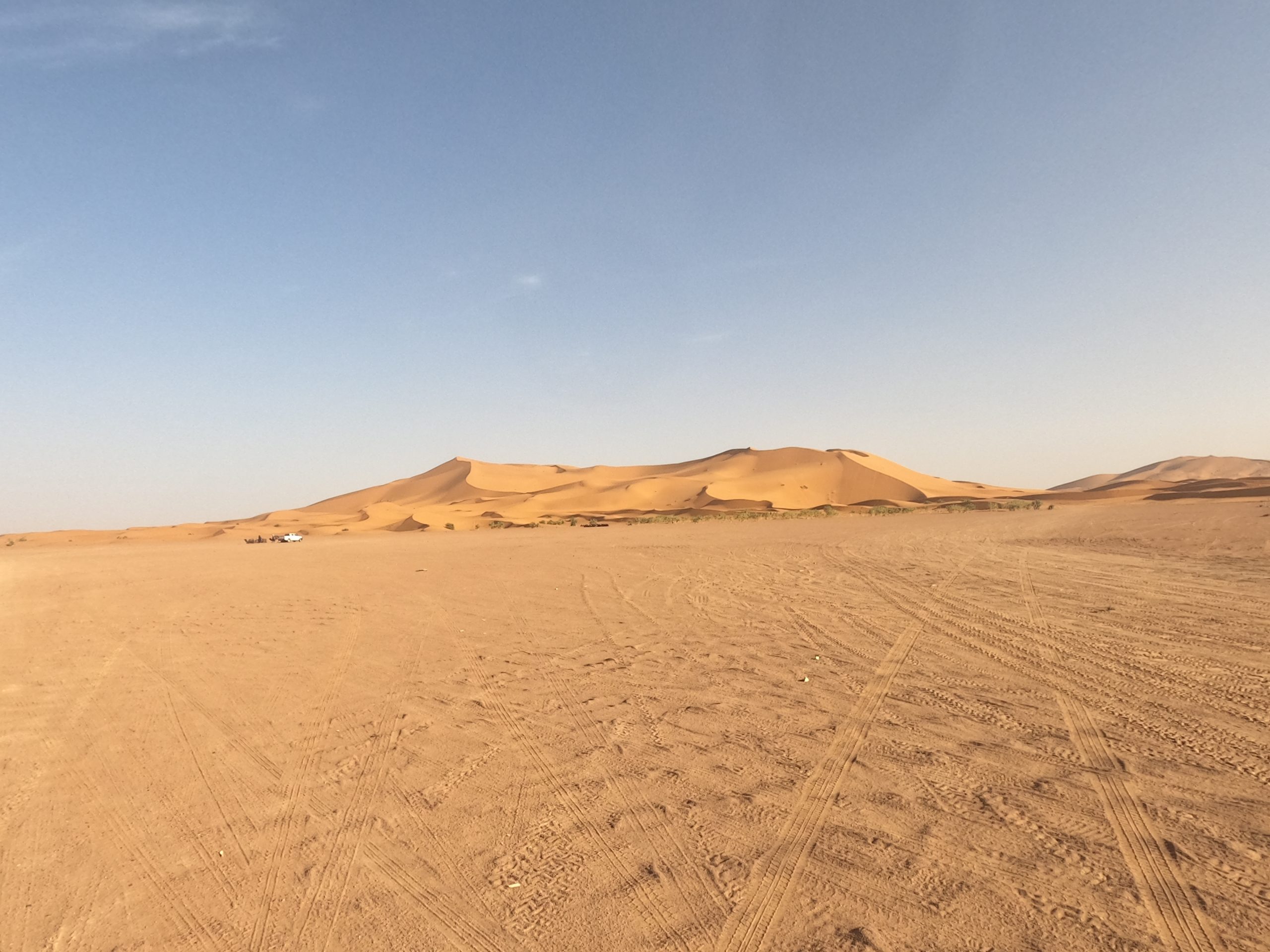 sahara desert