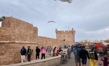 essaouira day trip