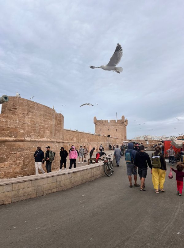 essaouira day trip