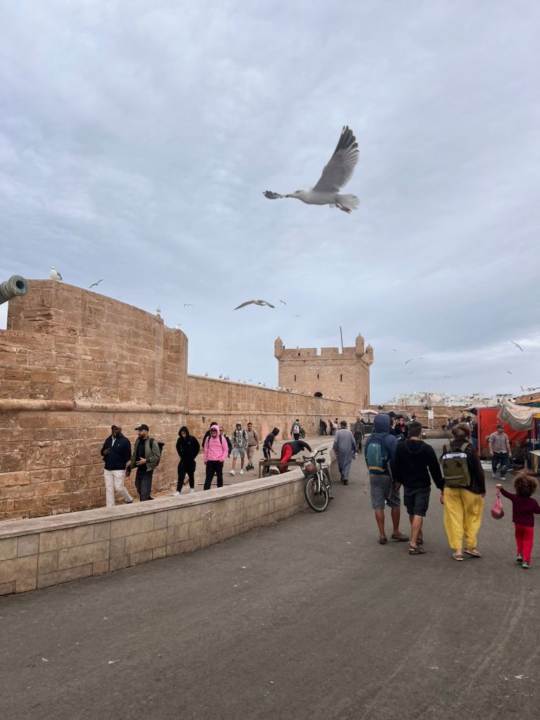 essaouira day trip